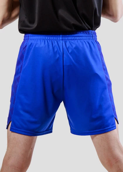 Волейбольные шорты мужские VOL-AMS-03-SUBL