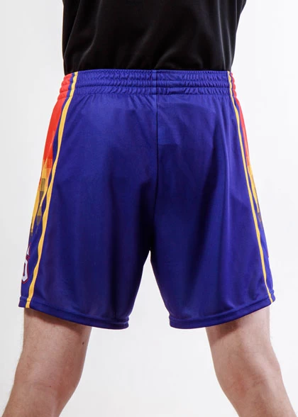 Волейбольные шорты мужские VOL-AMS-01-SUBL