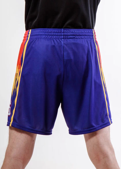 Волейбольные шорты мужские VOL-AMS-01-SUBL