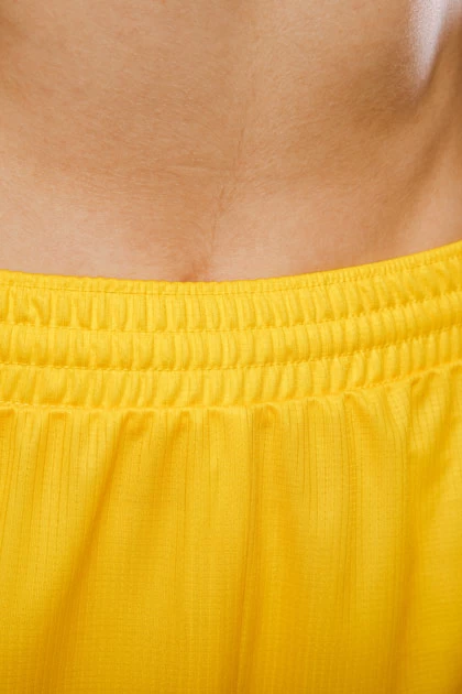 Женские баскетбольные шорты BSK-AW7.2-SUBL